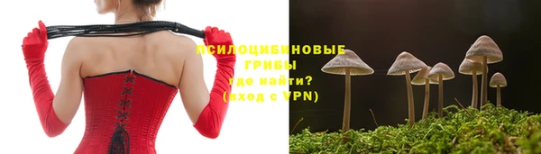 ALPHA PVP Нязепетровск