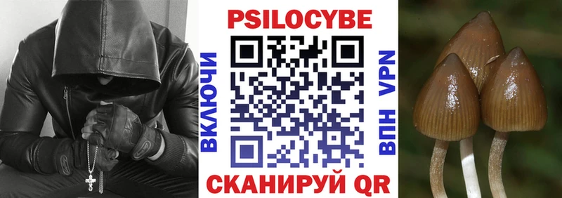 Псилоцибиновые грибы мицелий  где продают наркотики  Знаменск 