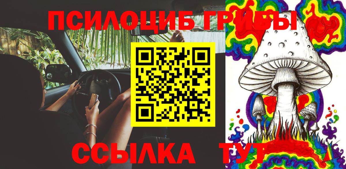 Псилоцибиновые грибы прущие грибы  Галлюциногенные грибы Psilocybe  Знаменск  Вход с VPN 